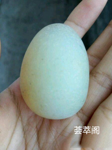 1.jpg?x-oss-process=image/auto-orient,1/quality,q_90/watermark,image_dXBsb2Fkcy93YXRlcl9tYXJrL2ppdXl1LnBuZz94LW9zcy1wcm9jZXNzPWltYWdlL3Jlc2l6ZSxQXzM1L2JyaWdodCw4NA,x_12,y_18