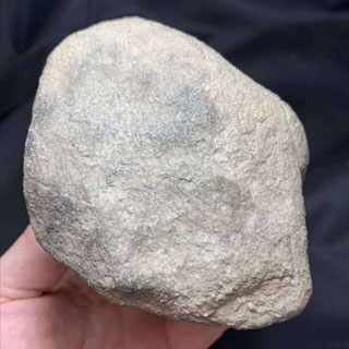 莫西沙有哪几种皮壳