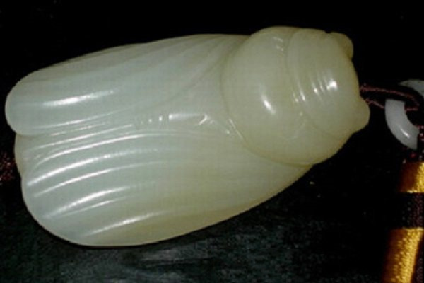 蝉1.jpg