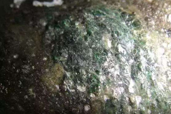 木那翡翠原石长满了黑藓好吗？翡翠原石有藓好不好？