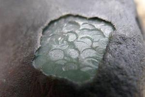 翡翠场口原石皮壳特点
