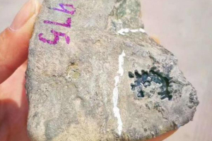 水翻砂翡翠原石怎么样 翡翠原石水翻砂和脱沙一样吗