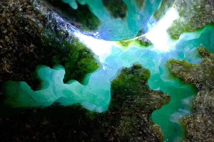 拉萨帝王绿翡翠原石价格 帝王绿翡翠出自哪里呢？