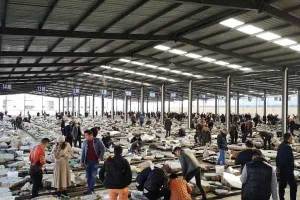 瑞丽哪里找翡翠原石 瑞丽翡翠原石市场在哪