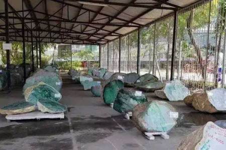 翡翠原石如何参加公盘 什么样的翡翠原石才能进入公盘？