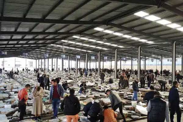 怎么样去瑞丽淘翡翠原石 瑞丽翡翠原石市场在哪？