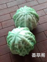 果绿核桃一对 手把件 尺寸39/34.8,细腻 清爽 靓丽，特惠