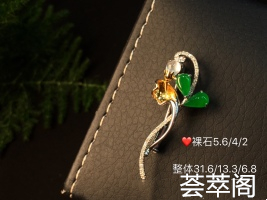 ✨陌上花开 可缓缓归已清雅如兰 青翠欲滴 文雅怡人冬季的福音 定会给你更美感受超值不议