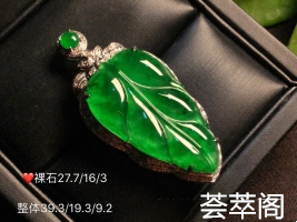 ✨为了留住叶的神采 定格于此正阳辣绿树叶 青翠欲滴 娇艳动人上身温婉优雅 美的无可挑剔超值不议
