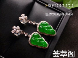 放漏超值不议愿你历经山河 仍觉得人间值得...清丽雅致 一抹鲜艳的叶子 叶叶美景品质看得到 佩戴贵气十足    