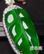 大叶子，厚装
晶莹碧诱
